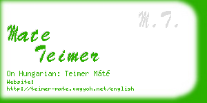 mate teimer business card